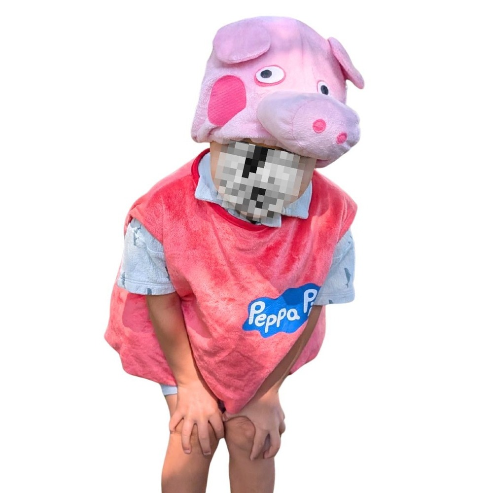 Peppa Pig Kids Toddler Halloween Costume Dress Up